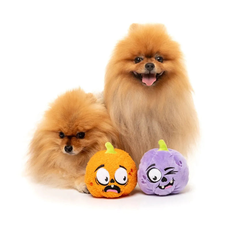 Fuzzyard Halloween Trick or Treat Duo Dog Toy 2 Pack --^--