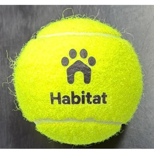 Habitat Medium Sized Tennis Ball Dog Toy Yellow