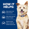 Hills Prescription Diet Dog k/d Kidney Care Chicken Wet Food 350g x 12
