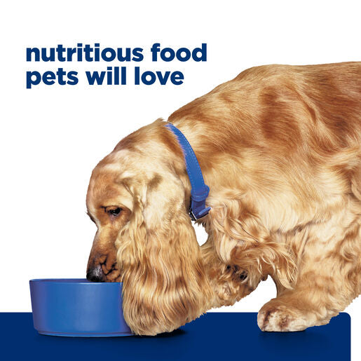 Hills Prescription Diet Dog z/d Skin/Food Sensitivities Original Wet Food 370g x 12