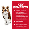 Hills Science Diet Adult 7+ Chicken and Barley Canned Dog Food 370g x 12 :->>