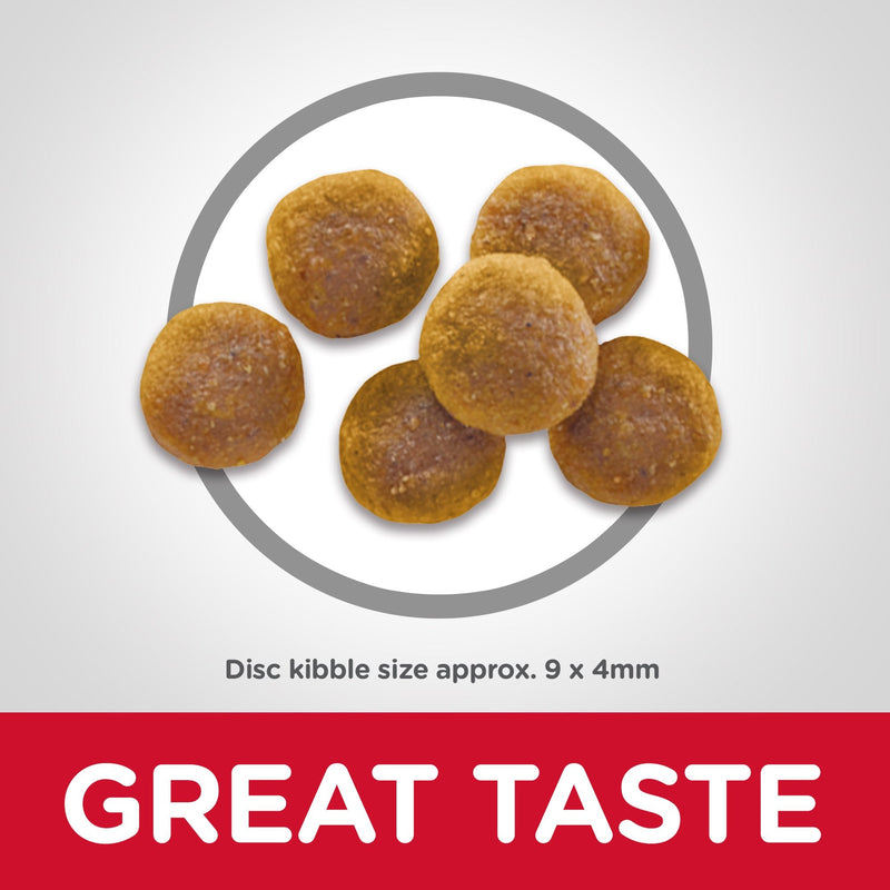 Hills Science Diet Adult Dry Cat Food 6kg