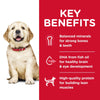 Hills Science Diet Puppy Large Breed Dry Dog Food 12kg :->>