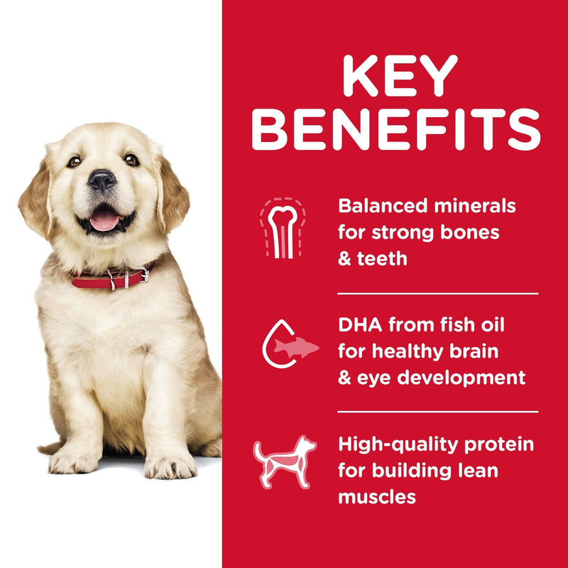 Hills Science Diet Puppy Large Breed Dry Dog Food 3kg (+_+)