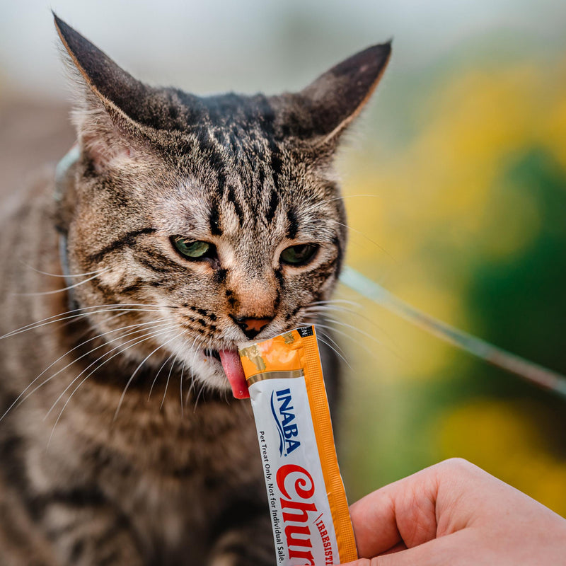 Inaba Churu Puree Chicken Cat Treats 56g (+_+)