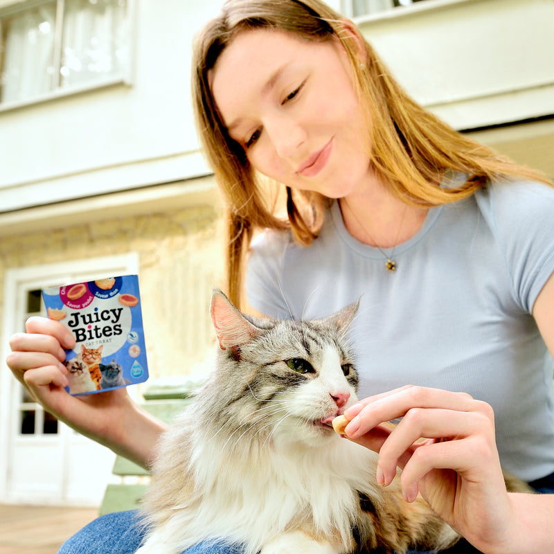 Inaba Juicy Bites Tuna and Chicken Cat Treats 34g x 6 :->>