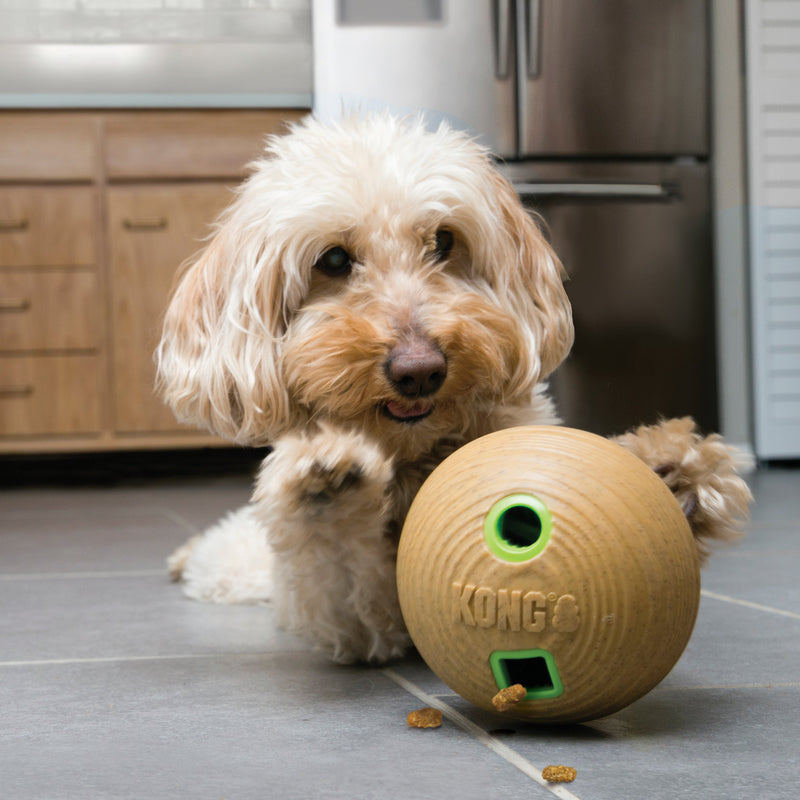 KONG Bamboo Feeder Ball Medium Dog Toy (+_+)