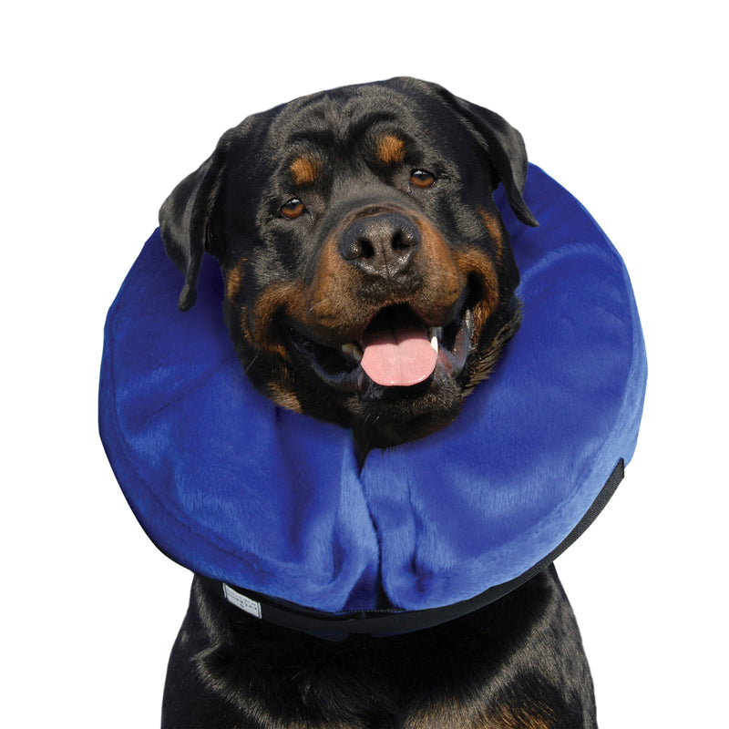 KONG Cloud Recovery Dog Collar Extra Large