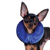 KONG Cloud Recovery Dog Collar Small
