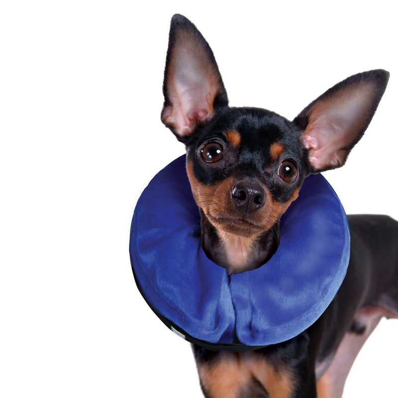 KONG Cloud Recovery Dog Collar Small