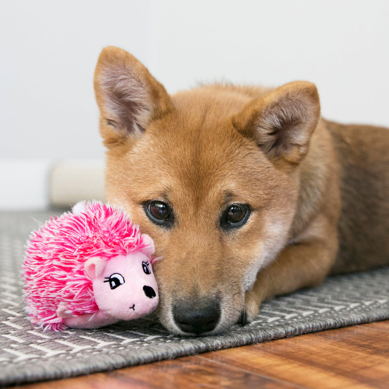 KONG Comfort Hedgehug Hedgehog for Medium Puppies Dog Toy