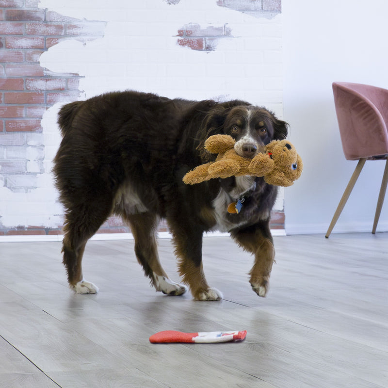 KONG Comfort Pups Goldie Medium Soft Dog Toy