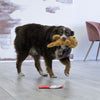 KONG Comfort Pups Goldie Medium Soft Dog Toy ^._.^