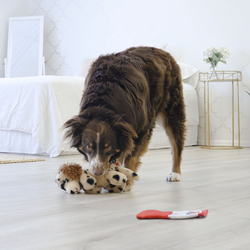 KONG Comfort Pups Spot Medium Soft Dog Toy ^._.^