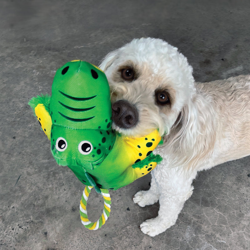 KONG Cozie Tuggz Alligator Small to Medium Dog Toy ^._.^