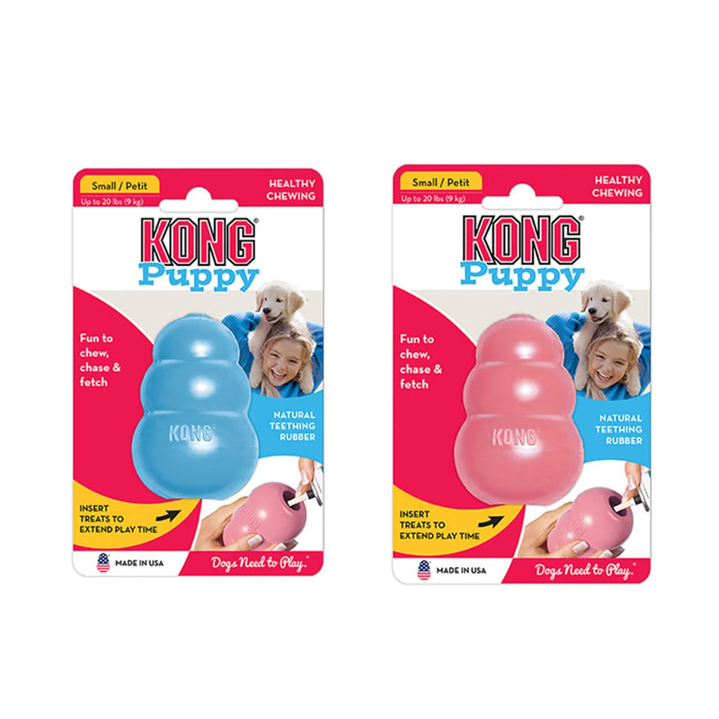 KONG Puppy Small Dog Toy Easy Treat and Cleaning Brush Bundle