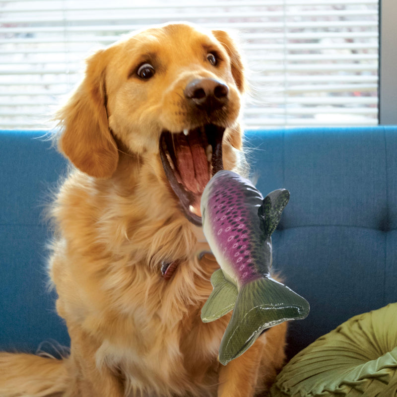 KONG Wild Shields Trout Medium Dog Toy ^._.^