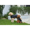 Kazoo Apparel Adventure Coat with Harness Hatch Black Extra Extra Large