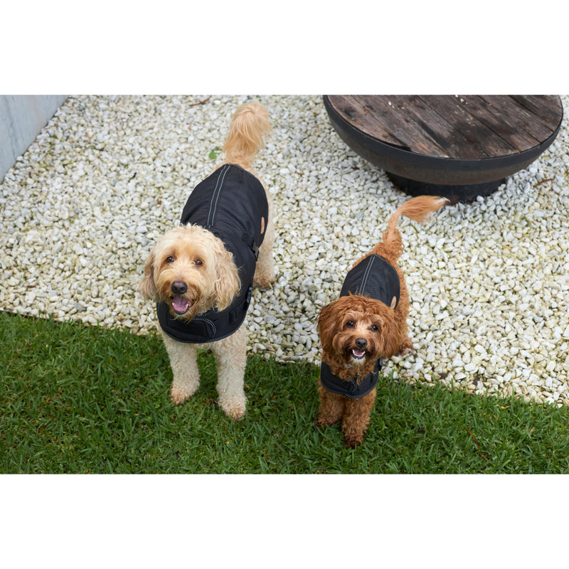 Kazoo Apparel Adventure Coat with Harness Hatch Black Extra Extra Large