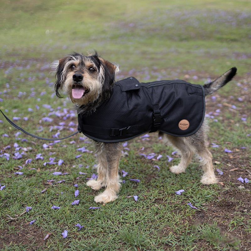 Kazoo Apparel Adventure Coat with Harness Hatch Black Extra Large