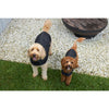 Kazoo Apparel Adventure Coat with Harness Hatch Black Extra Small