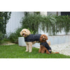 Kazoo Apparel Adventure Coat with Harness Hatch Black Extra Small