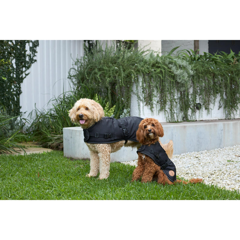 Kazoo Apparel Adventure Coat with Harness Hatch Black Large