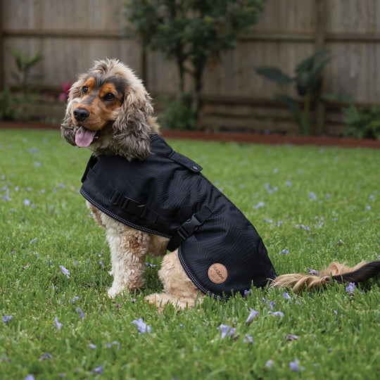 Kazoo Apparel Adventure Coat with Harness Hatch Black Large