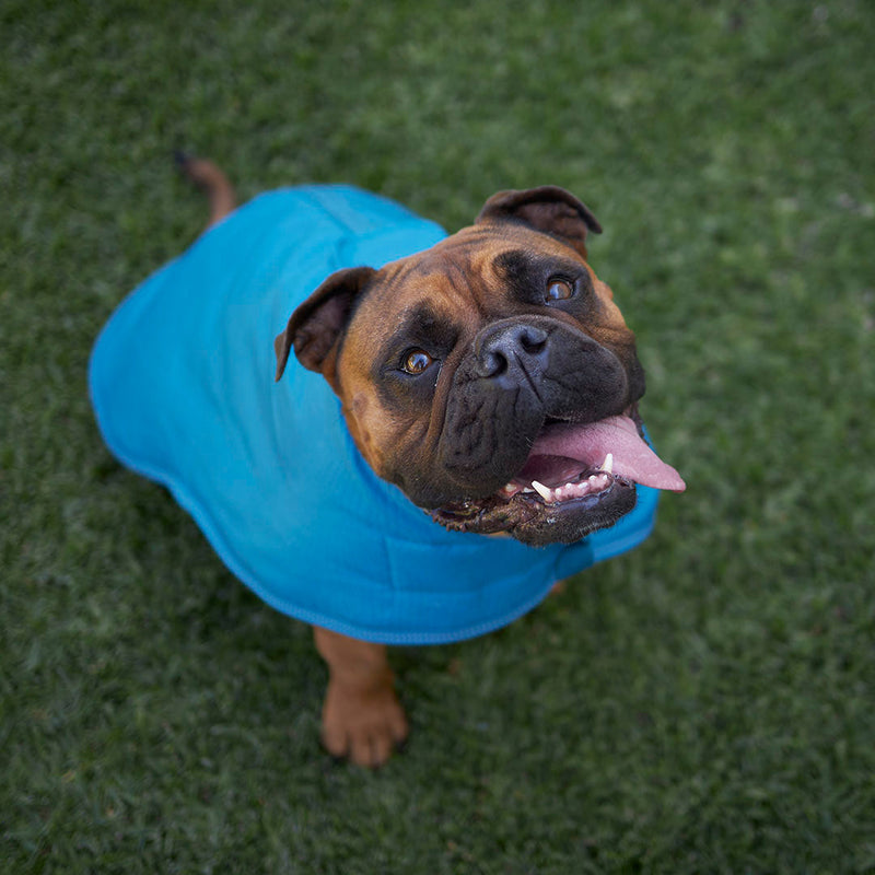 Kazoo Apparel Adventure Coat with Harness Hatch Blue Small 40cm