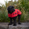 Kazoo Apparel Adventure Coat with Harness Hatch Red Extra Extra Small 27cm