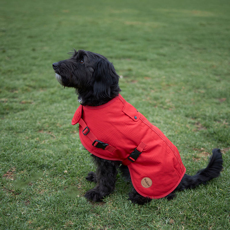Kazoo Apparel Adventure Coat with Harness Hatch Red Extra Small 33.5cm