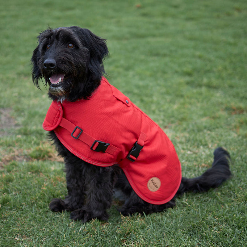 Kazoo Apparel Adventure Coat with Harness Hatch Red Extra Small 33.5cm
