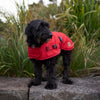 Kazoo Apparel Adventure Coat with Harness Hatch Red Extra Small 33.5cm