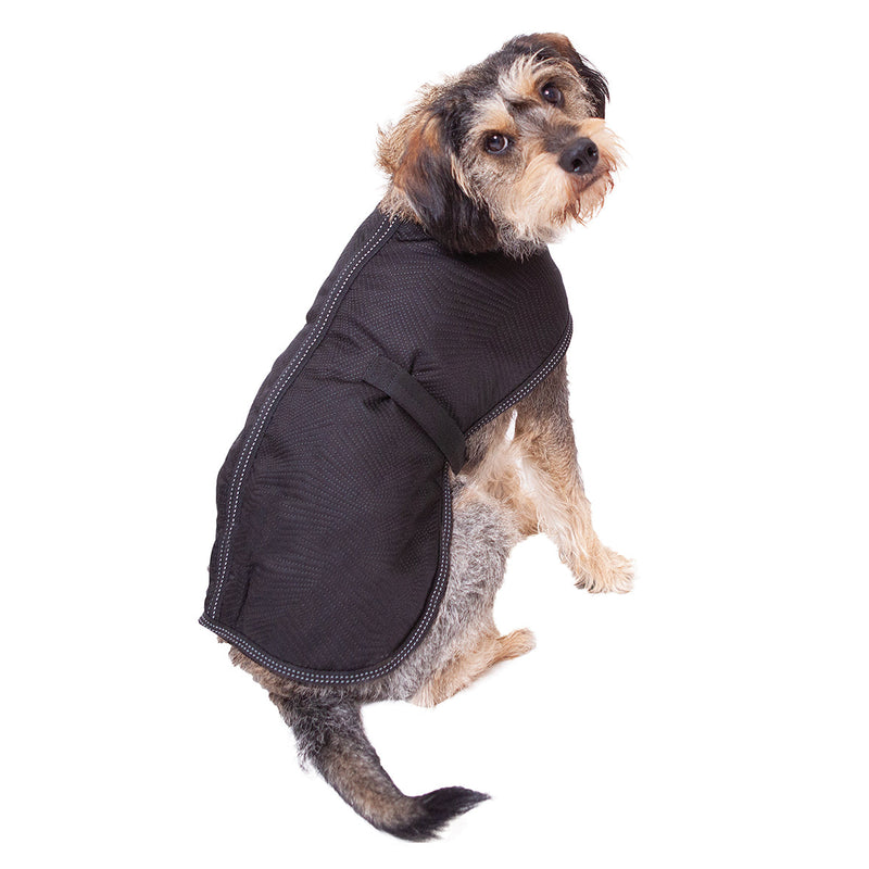 Kazoo Apparel Adventure Dog Coat Black Intermediate 53cm