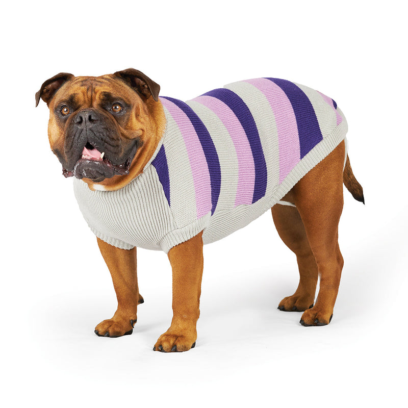 Kazoo Apparel Bumble Dog Jumper Lavender Medium ***