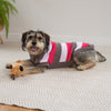Kazoo Apparel Knit Chestie Jumper Pink Stripe Extra Large 66cm