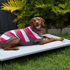 Kazoo Apparel Knit Chestie Jumper Pink Stripe Small 40cm