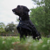 Kazoo Apparel Oilskin Dog Coat Black Extra Large 66cm