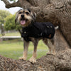 Kazoo Apparel Oilskin Dog Coat Black Extra Large 66cm
