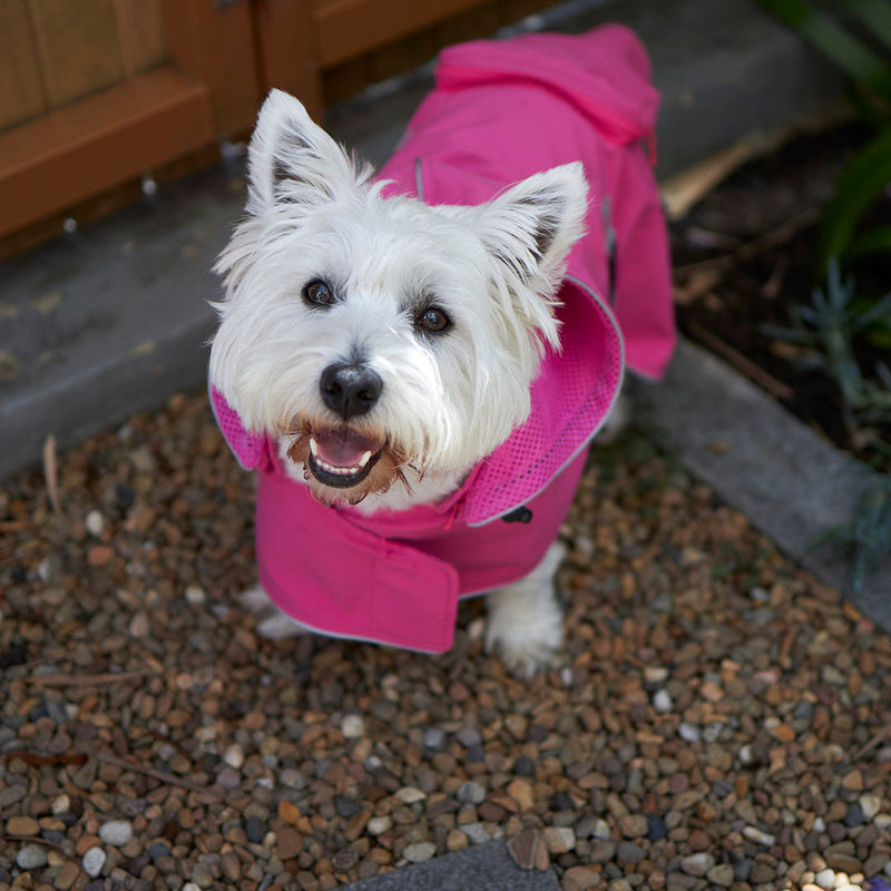 Kazoo Apparel Rainy Days Rain Coat with Harness Hatch Pink Extra Extra Large 72.5cm