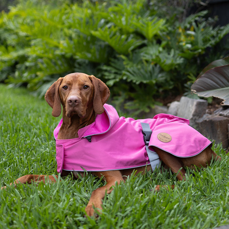 Kazoo Apparel Rainy Days Rain Coat with Harness Hatch Pink Intermediate 53cm