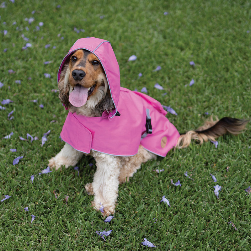 Kazoo Apparel Rainy Days Rain Coat with Harness Hatch Pink Large 59.5cm