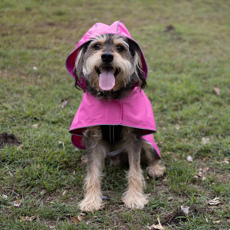 Kazoo Apparel Rainy Days Rain Coat with Harness Hatch Pink Medium 46.5cm