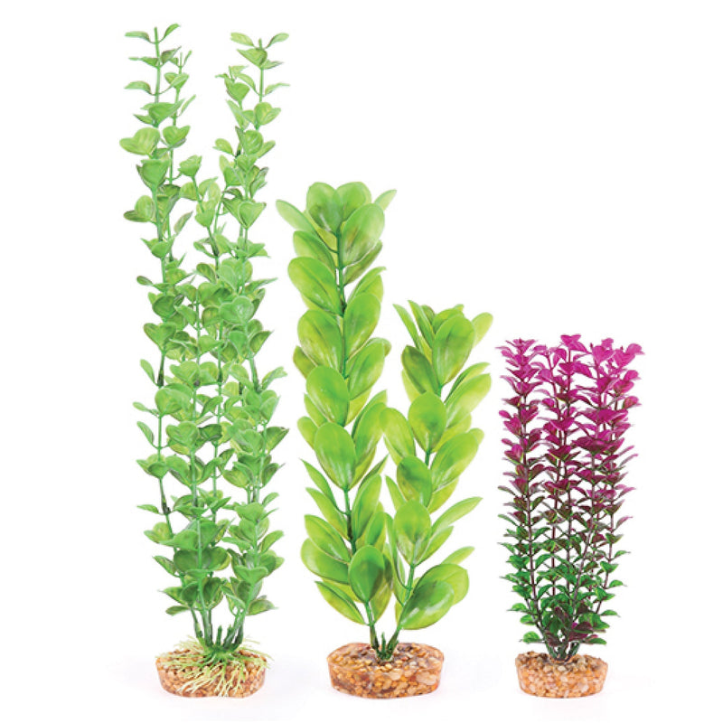 Kazoo Aquarium Artificial Plants Multipack 1-Habitat Pet Supplies