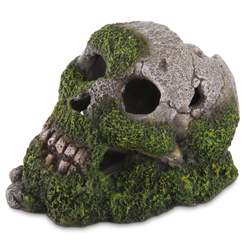 Kazoo Bubbling Skull with Moss Medium Fish Tank Ornament-Habitat Pet Supplies