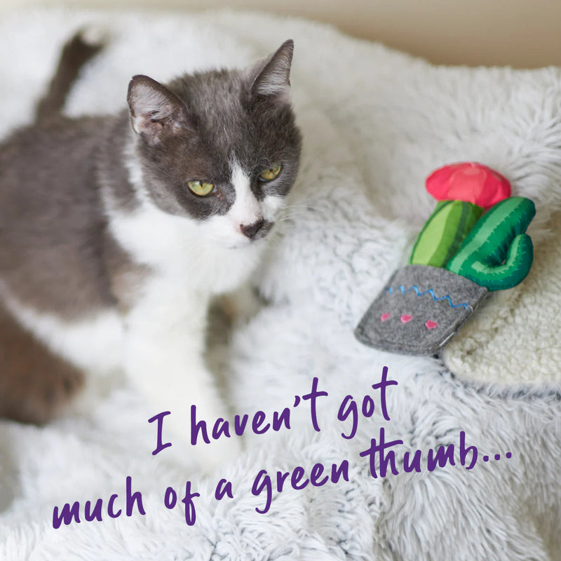 Kazoo Cactus Garden Cat Toy