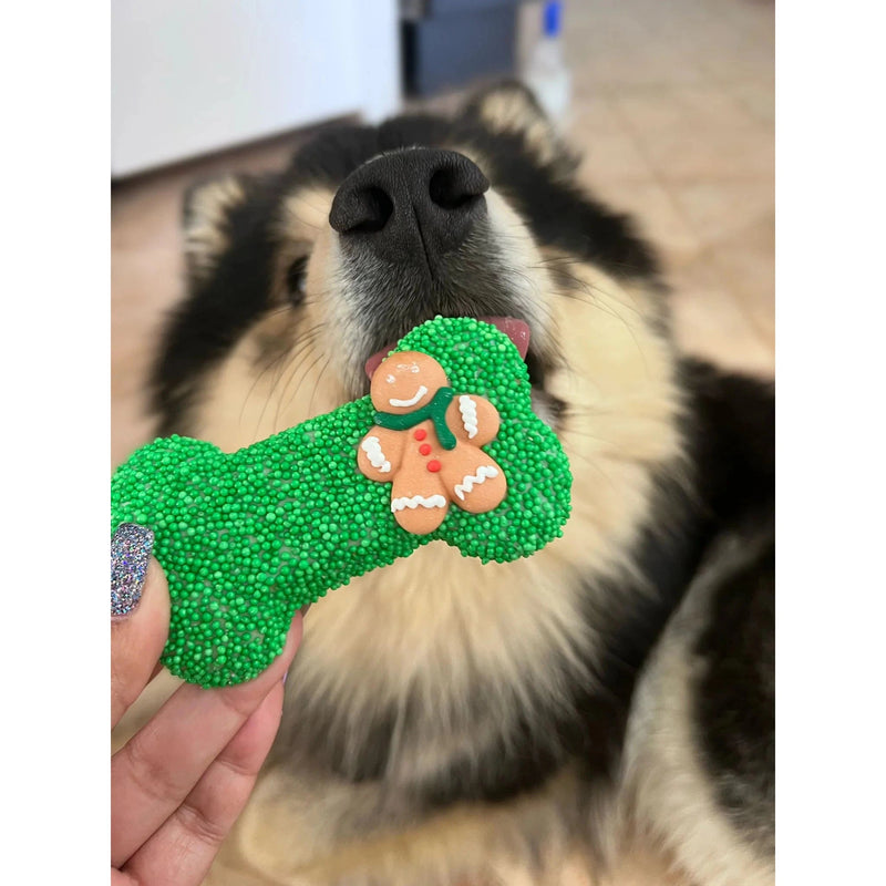 Kazoo Christmas Gingerbread Sprinkle Bone Cookie Dog Treat