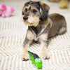 Kazoo Cool Crocodile Medium Dog Toy ^._.^