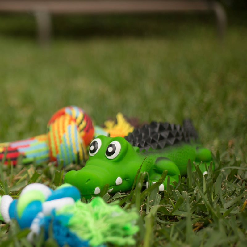 Kazoo Cool Crocodile Medium Dog Toy ^._.^