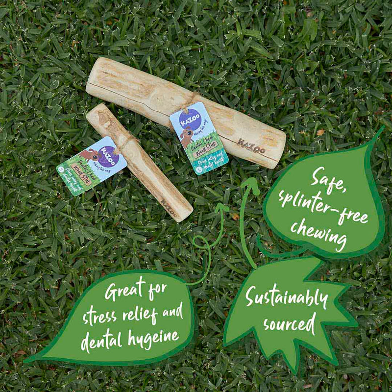 Kazoo Dental Chew Coffee Wood Stick Small